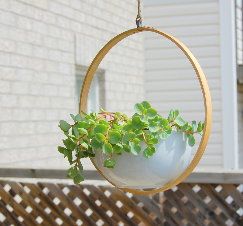 With the help of embroidery hoop you can make your low cost planter and use it anywhere in your home or garden.
